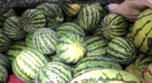 瓜哥免费吃瓜,揭秘娱乐圈幕后真相 第3张 瓜哥免费吃瓜,揭秘娱乐圈幕后真相 第3张